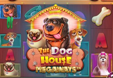 Chaos Crew II